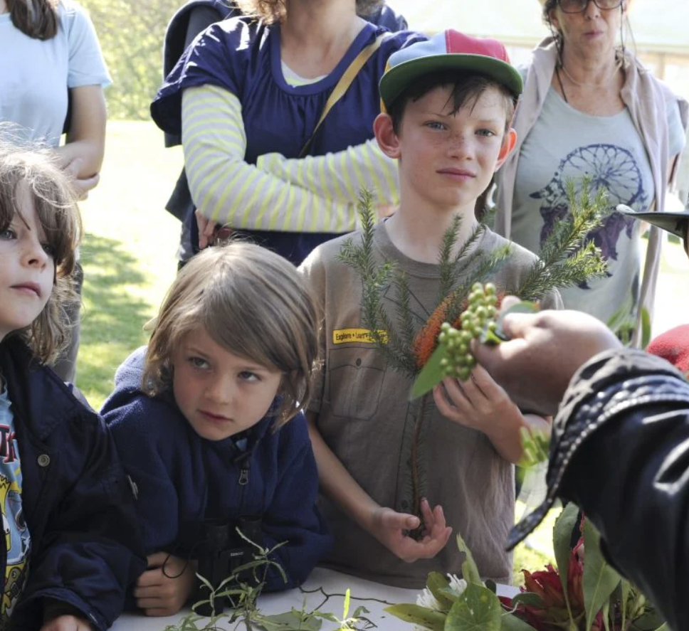 Guided Wild Bushwalks at Bundanon logo